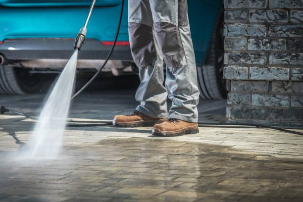 Best Warehouse Cleaning  in Gloster, MS