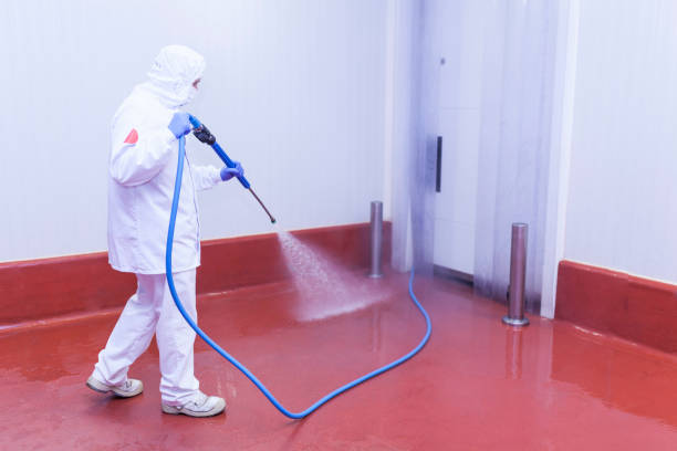 Best Paint Preparation  in Gloster, MS