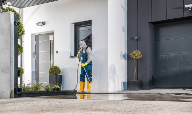 Best Graffiti Removal  in Gloster, MS